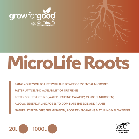 Microlife Roots