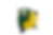 SCLC13PAES_1.png