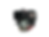 QPE13s_4.png