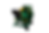 SCLC13PA_1.png