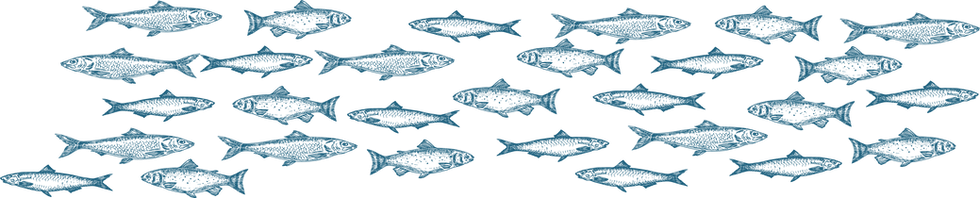 Sfondo pesci per sito WaterWhisperers.png