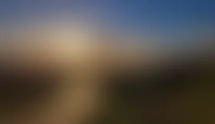 Empurpled and Detumescent Simultaneously