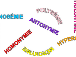 SÉMANTIQUE : les relations du sens lexical