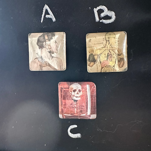 Magnets Series 3