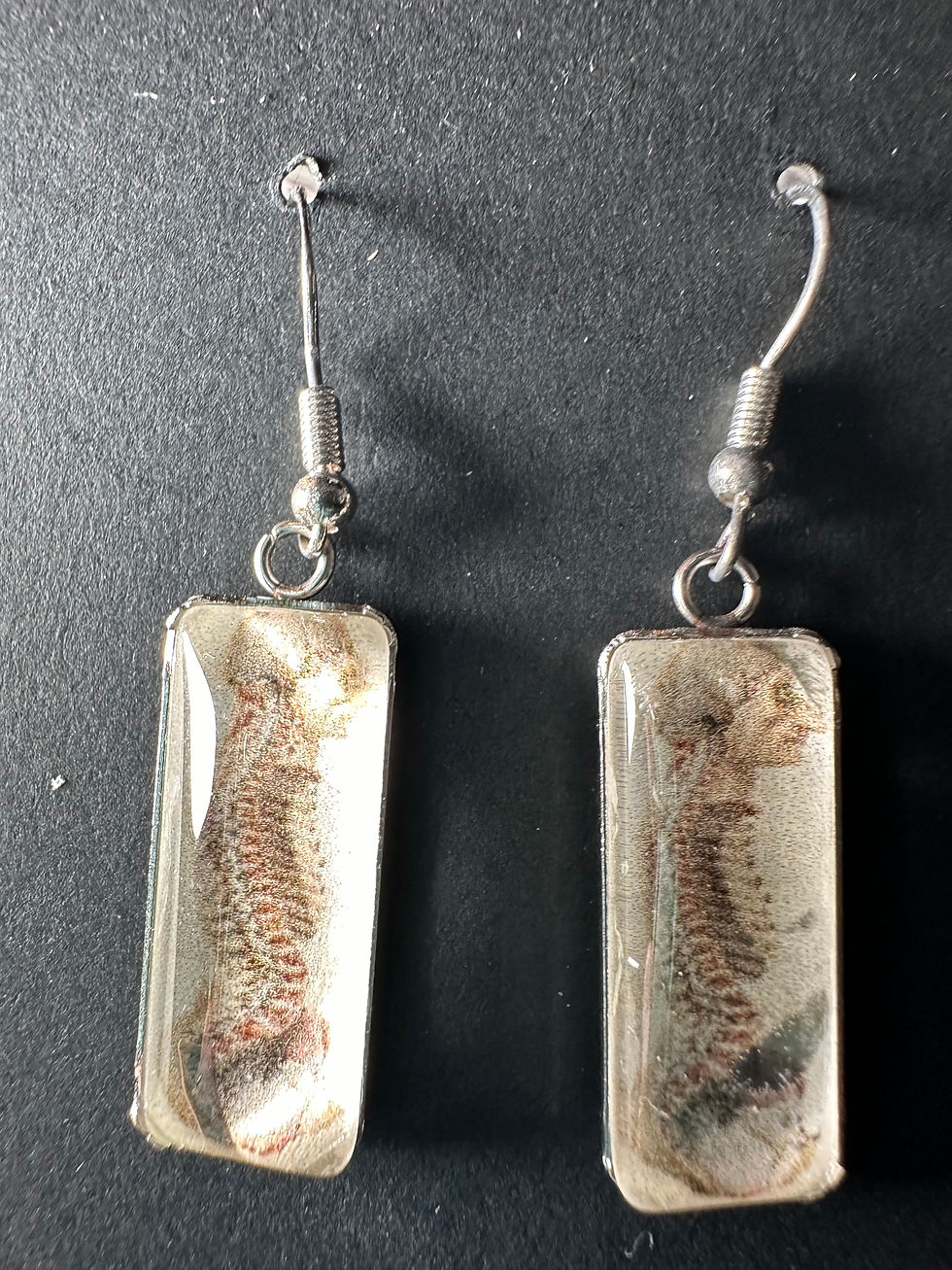 Nervous System Rectangle Drops