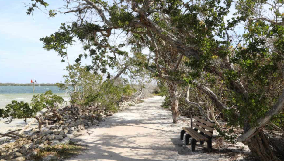 Plein Air | DeSoto National Memorial