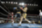 FIGHTNIGHT GET-TOGETHER