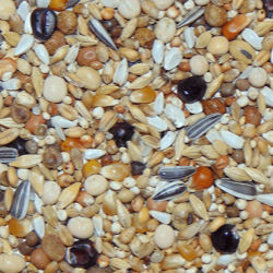 Paloma D01 Rui Black Diamond 25kg