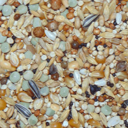 Paloma D81 Rui Subliem 25kg