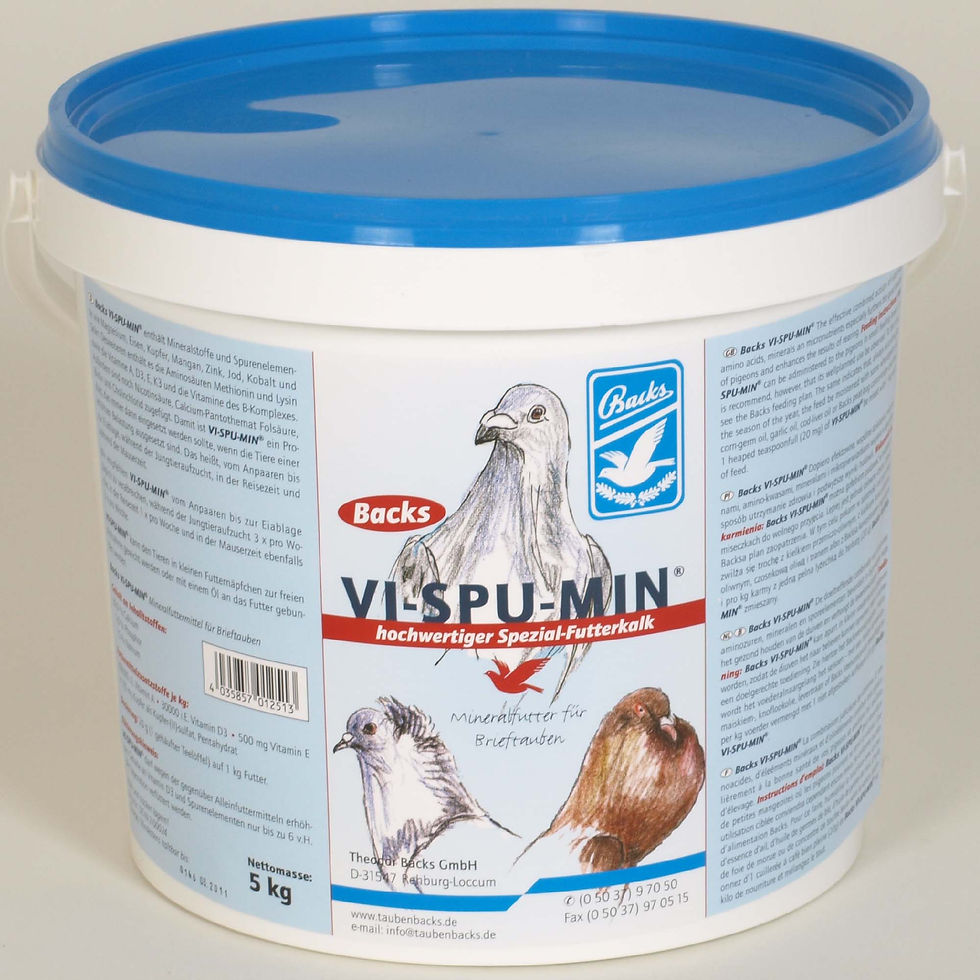 Thumbnail: Backs VI-SPU-Min