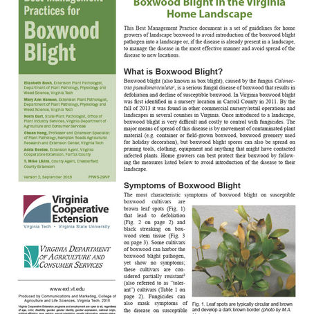 PEST ALERT – Boxwood Blight
