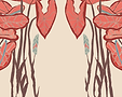 download.png