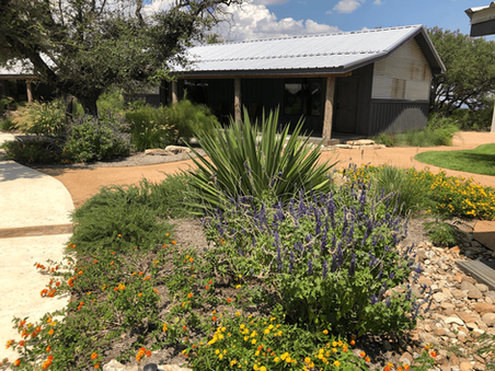 Hill Country Ranch Xeriscape Landscaping
