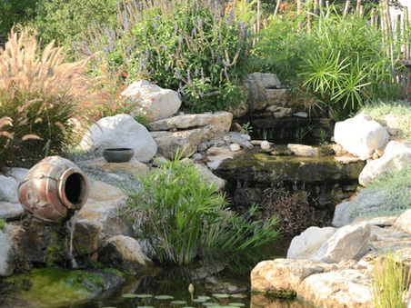 Water Garden with Waterfall