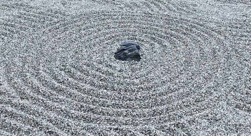 Photo Aug 18 2024, 6 28 20 PM.jpg