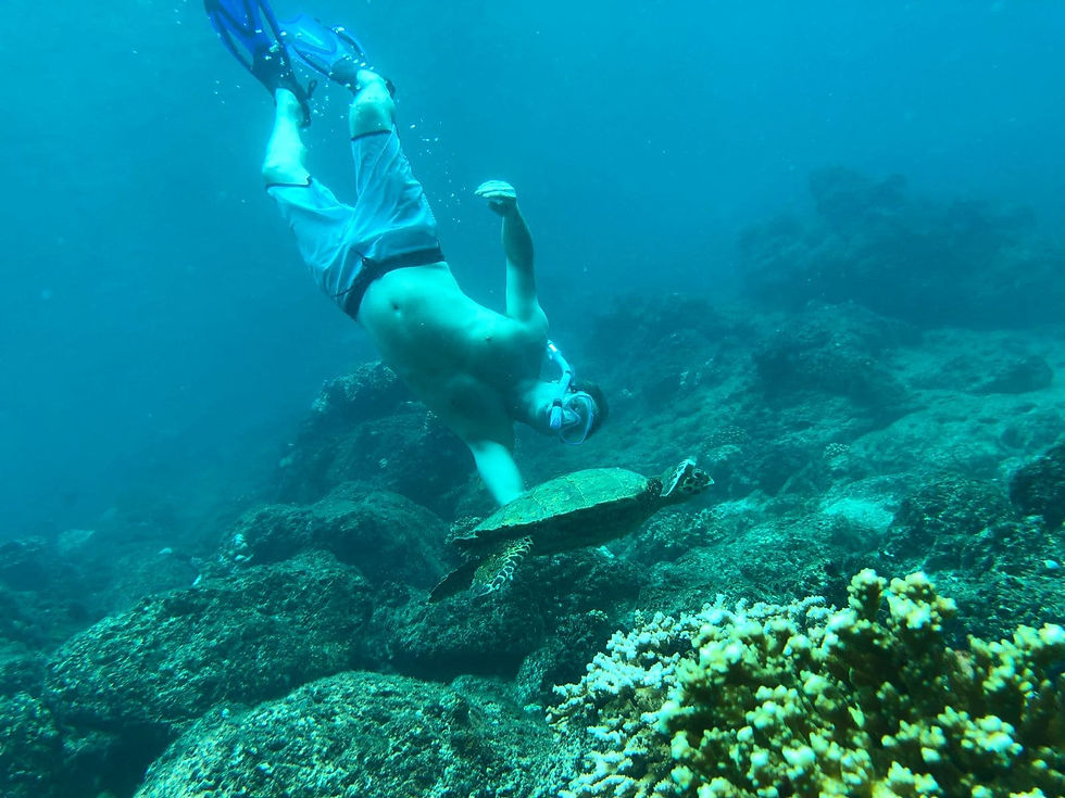 A diver in blue flippers swims underwater with a sea turtle over a coral reef. The water is clear, revealing rocky and coral textures.