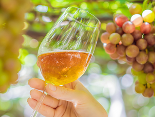 The wineries that are growing in a shrinking market