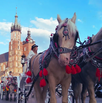 スクリーンショット 2025-08-16 16.38.26.png