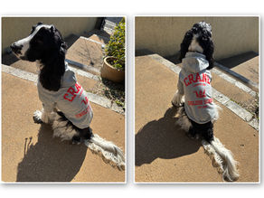 クレインパーカーできました♪