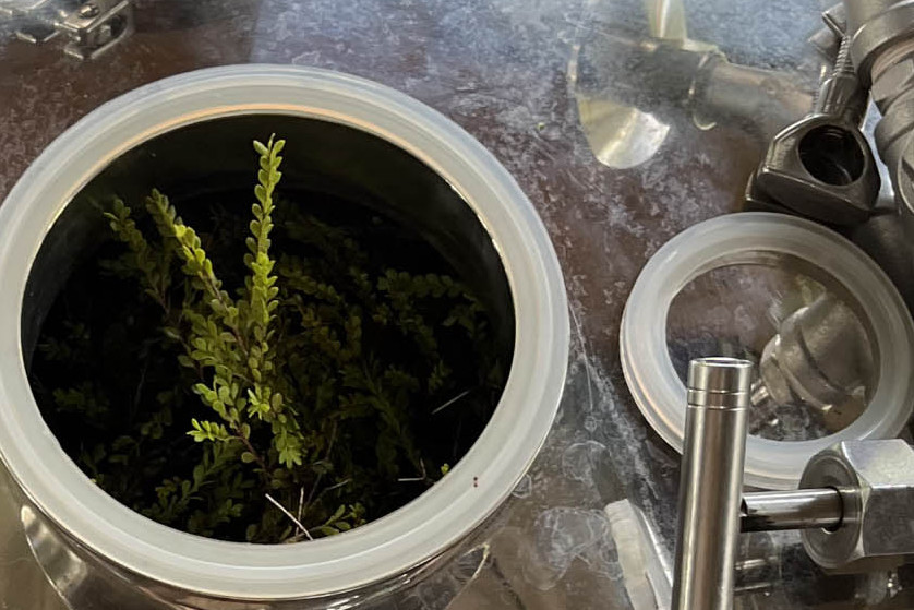 Essential Oils-12.jpg