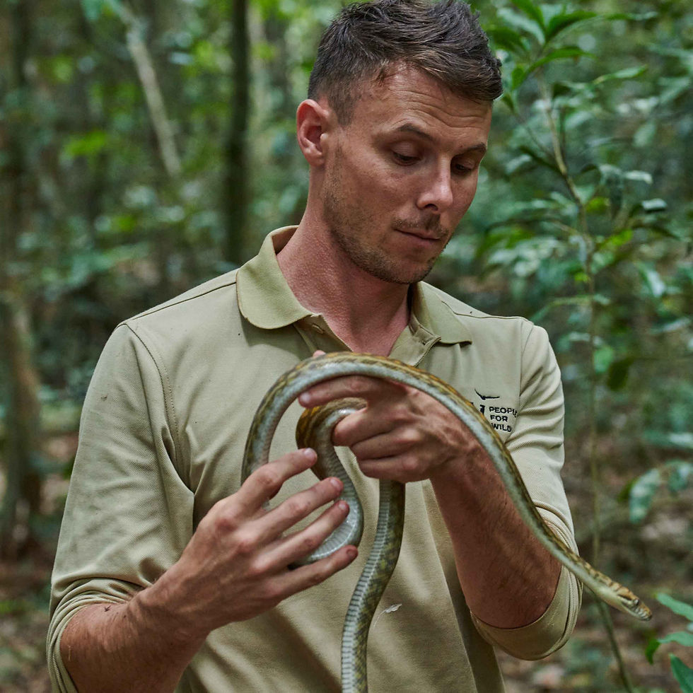 Web dan snakequare.jpg