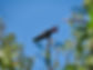 _DSC4349 PALMY web.jpg