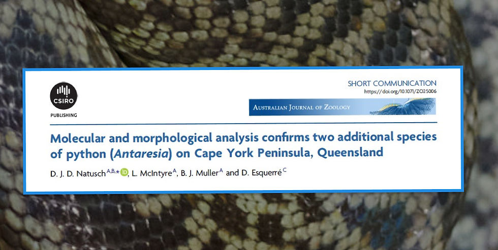 New Snake Paper Web.jpg