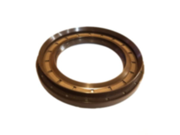 Axletech 4000 Pinion Seal
