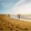 Thumbnail: LOMO film 400/36 Colorneg 3-pack F436C3       7071