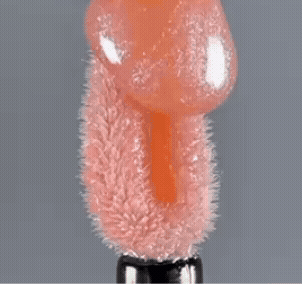 close up of wand with zey-b lip plumper