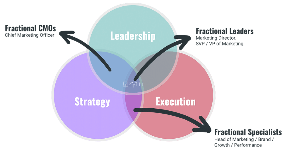 Venn diagram of marketing roles vs fractional roles
