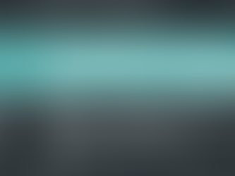 A Comprehensive Guide to Fractional Marketing