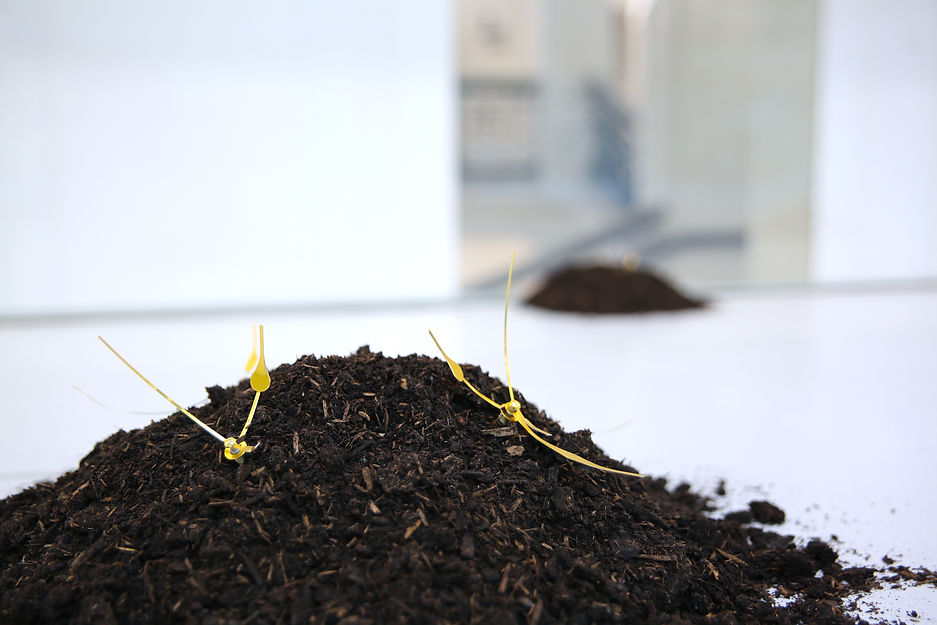 leaf in time – Robin Lütolf, Universität für angewandte Kunst/University of applied Arts