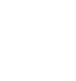 DELO Elektro Firmenlogo