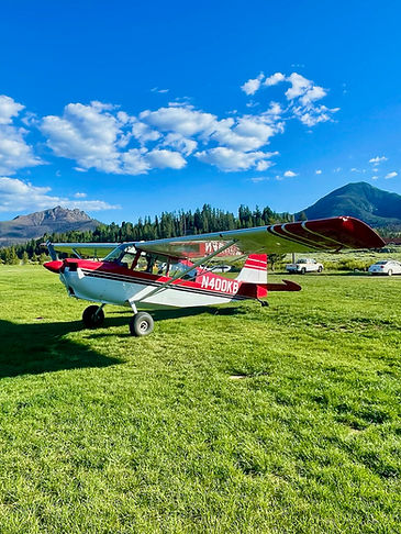 Citabria on grass