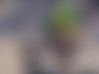 „UELSEN SINGT“ im Rahmen des Uelser Musiksommers 2024