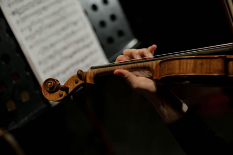 How to Choose the Right Violin for Beginners