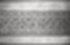 PXV BW - 003.jpg