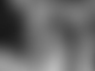 Bridal Hair Timeline: When to Book, Trial, and Confirm Your Stylist