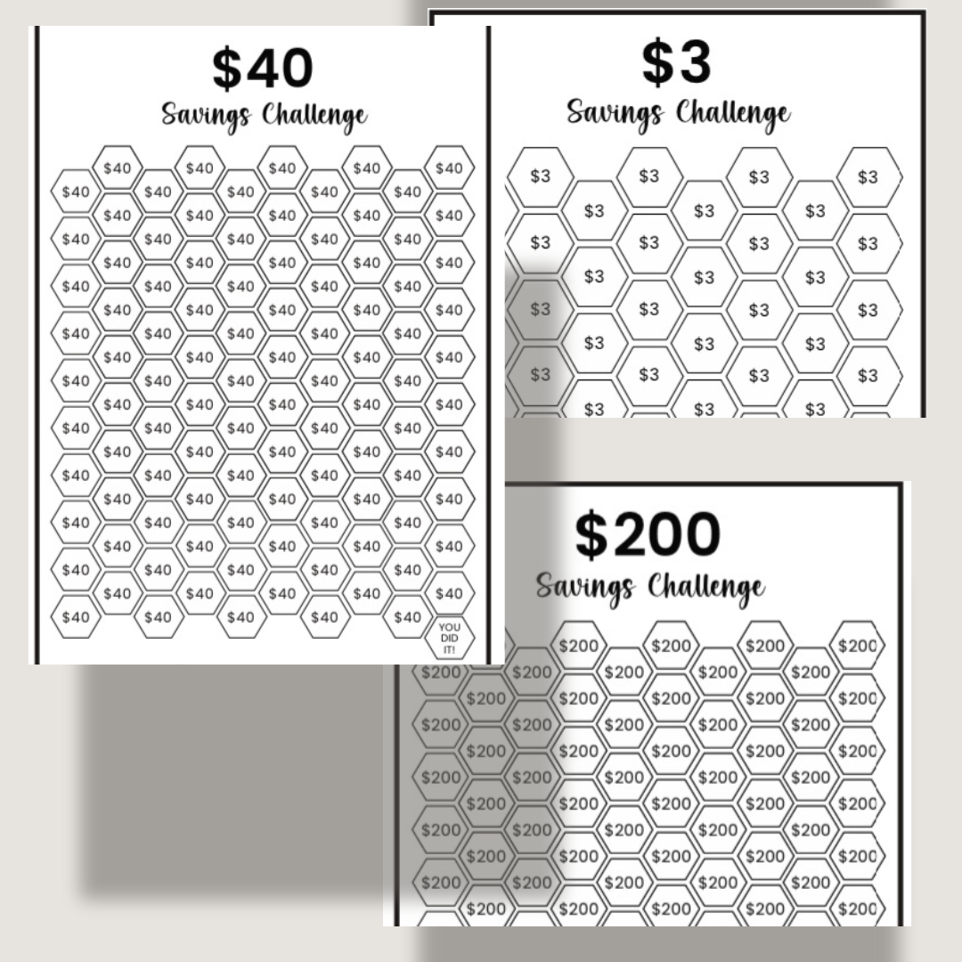 Racked Up Savings Binder