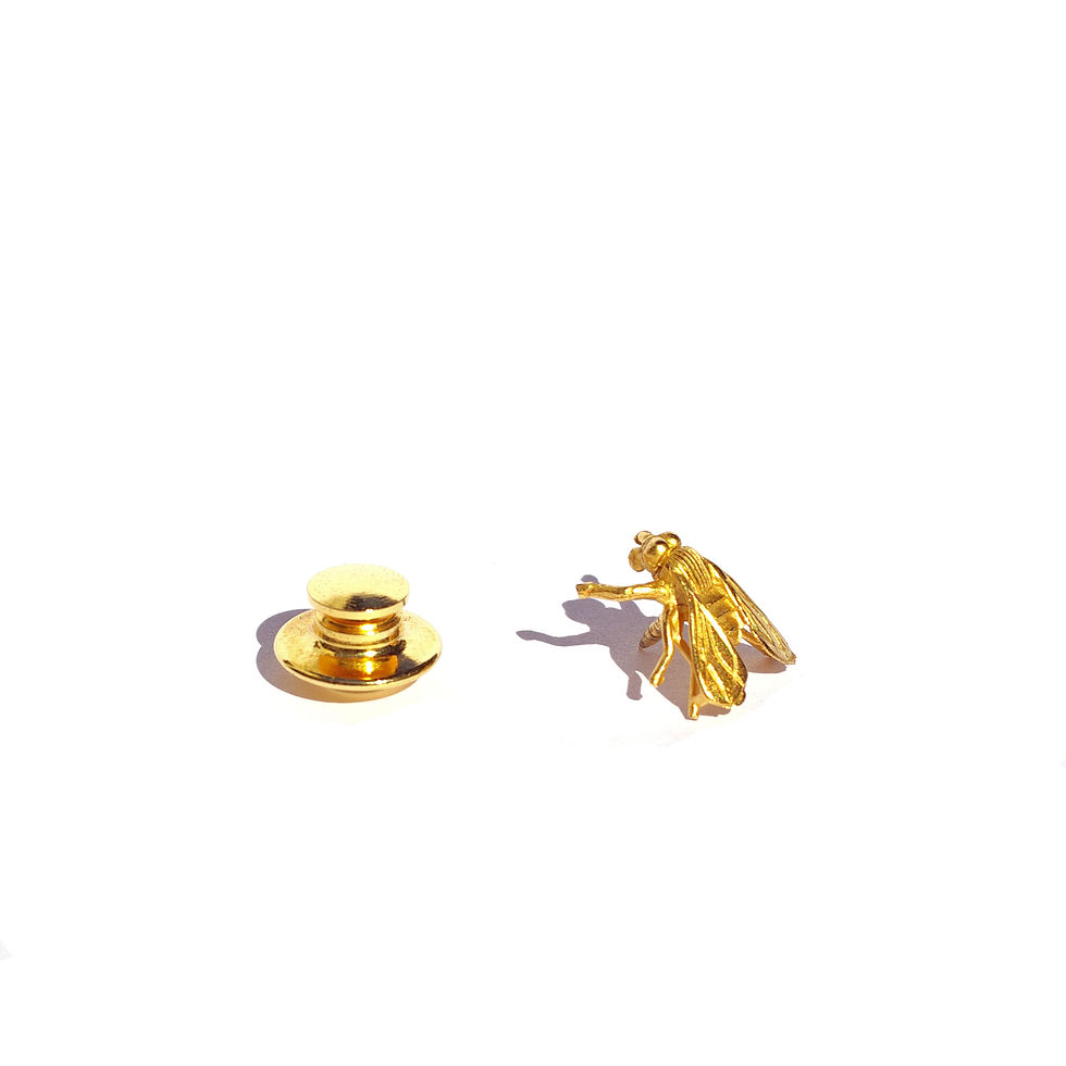 Thumbnail: pin brooch fly