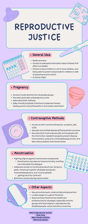 Reproductive Justice_page-0001.jpg