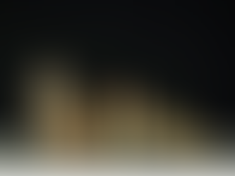 Healthy Housing Policies: What Can Still Be Done?