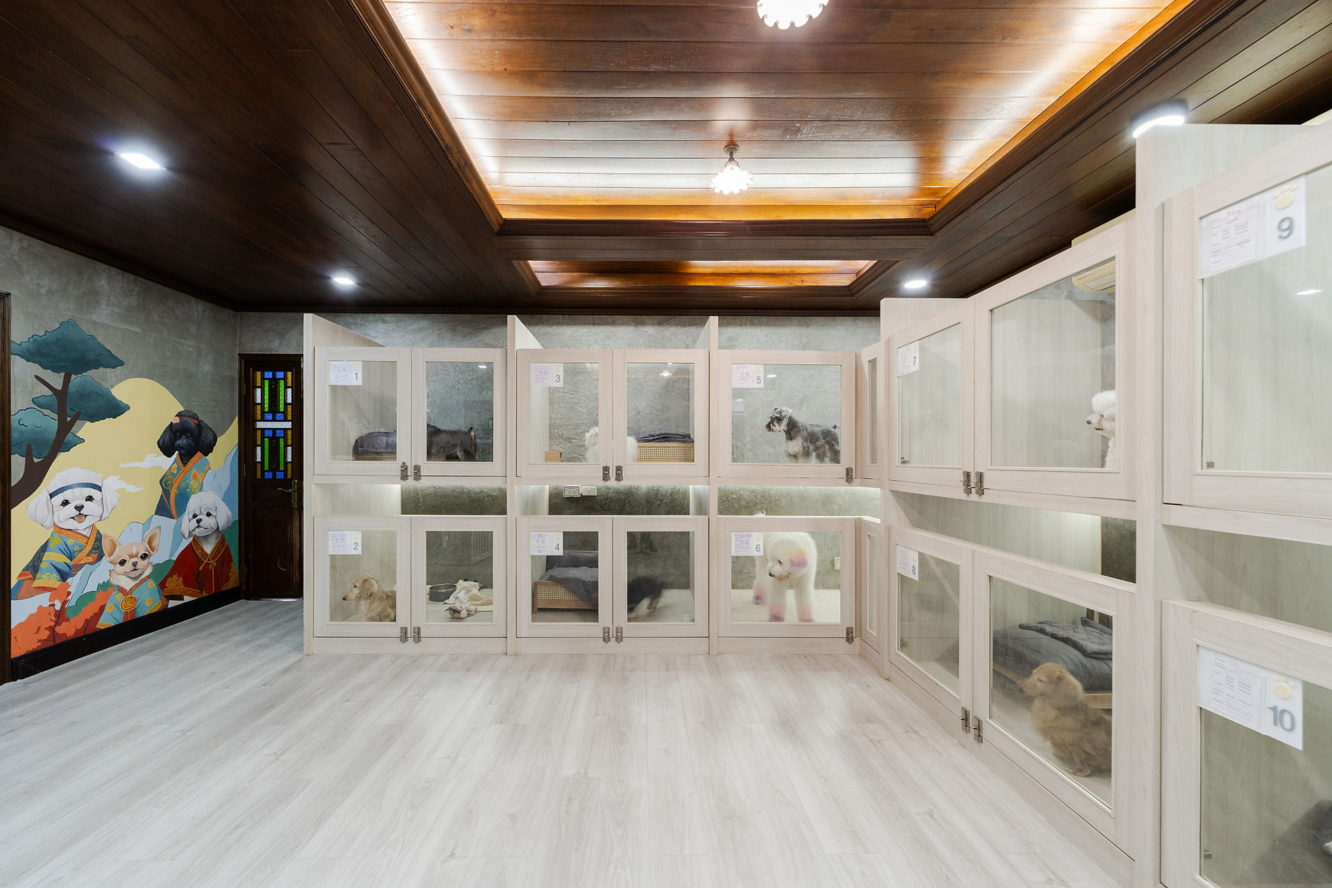 Teddy Dog Home ห้องพักหมาเล็ก