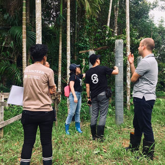 Phuket Elephant Sanctuary Environment