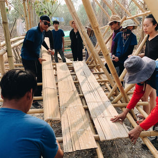 Phuket Elephant Sanctuary Site Survey