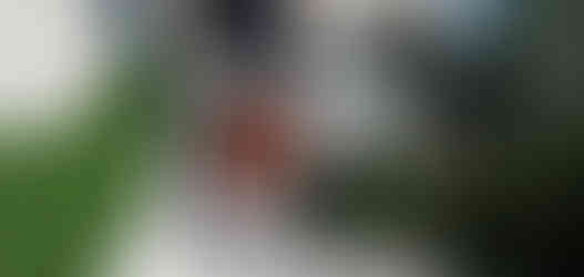 THE NEST ARCHITECTURE