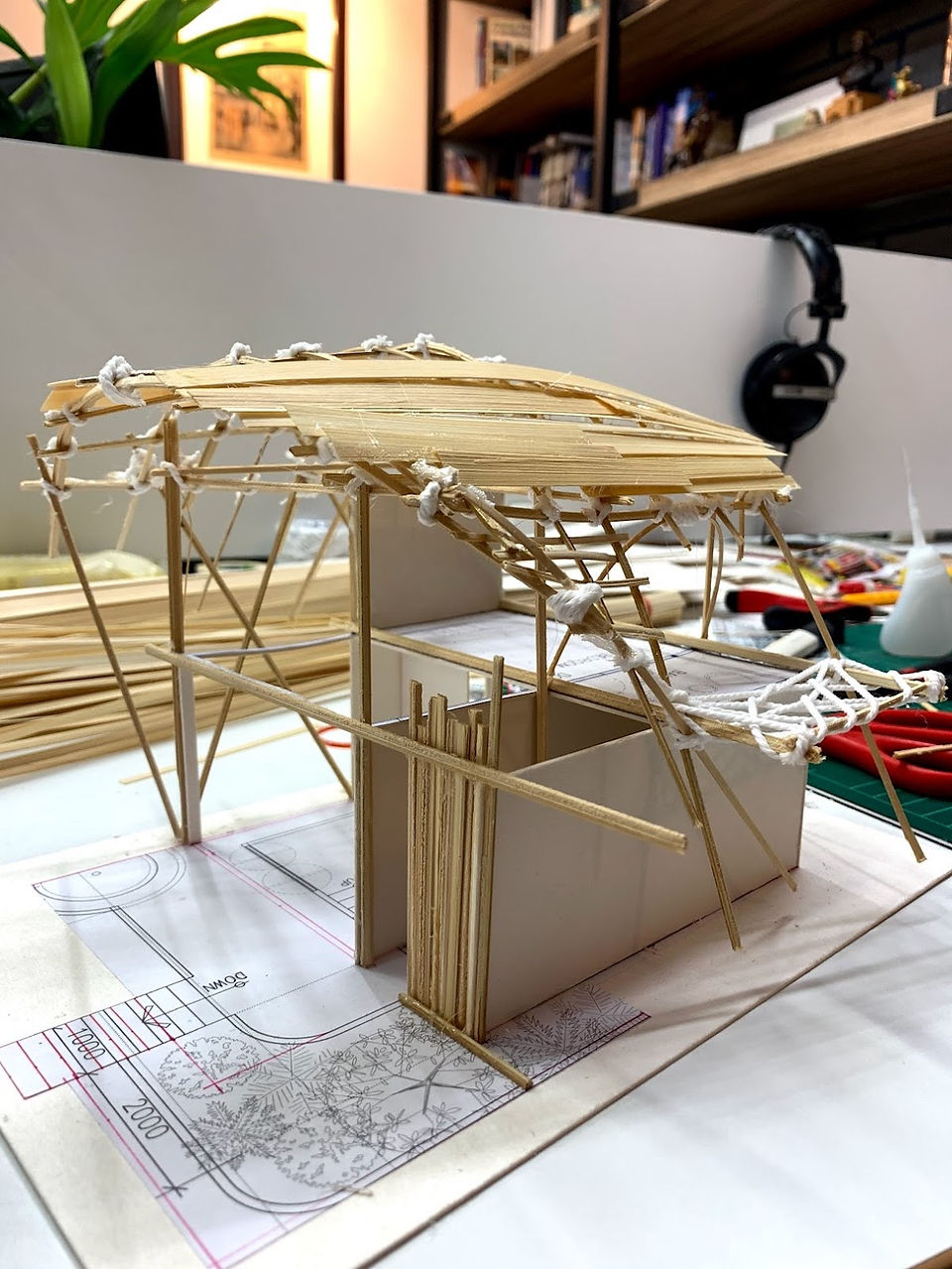 Phuket Elephant Sanctuary Model