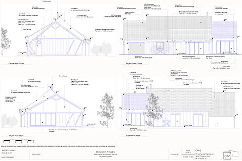 Façades Projet M.jpg