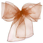 Chocolate Brown Organza.jpg